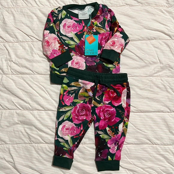 Posh Peanut Other - Posh Peanut Sweatshirt & Jogger Set Set - Zelda NWT 3-6